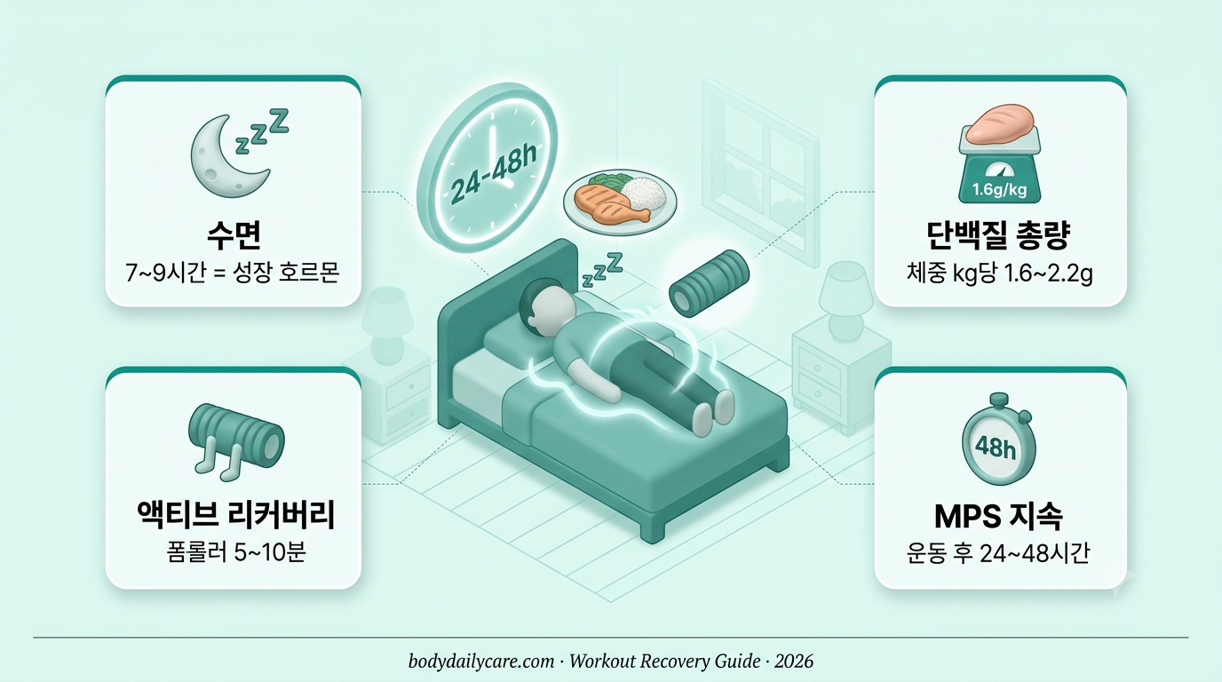 운동 후 회복 오회완 3가지 인포그래픽 - 수면 7~9시간, 하루 총 단백질 체중 kg당 1.6~2.2g, 액티브 리커버리 폼롤러 스트레칭으로 근성장 극대화