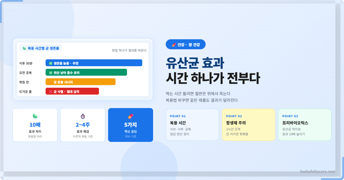 유산균 효과 10배 차이, 먹는 시간 틀리면 절반은 죽는다