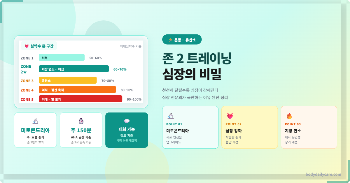 존 2 트레이닝 효과, 심장 전문의가 극찬한 이유