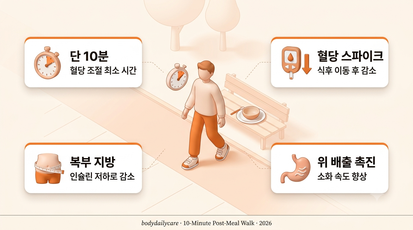 공원에서 산책하는 사람과 10분 타이머 - 식후 10분 산책 다이어트 효과