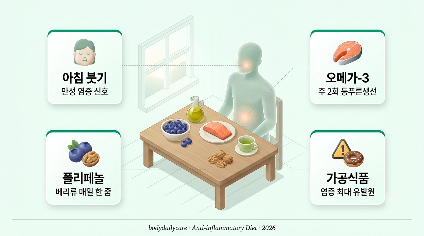 염증 완화 식단 인포그래픽 — 오메가-3·베리 폴리페놀·강황 커큐민·잎채소 카드