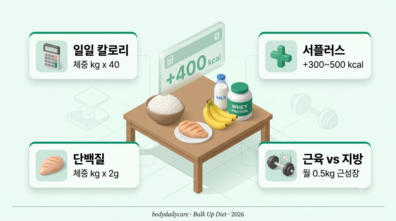 벌크업 식단 칼로리 인포그래픽 — 서플러스 계산·탄단지·근성장 상한 카드