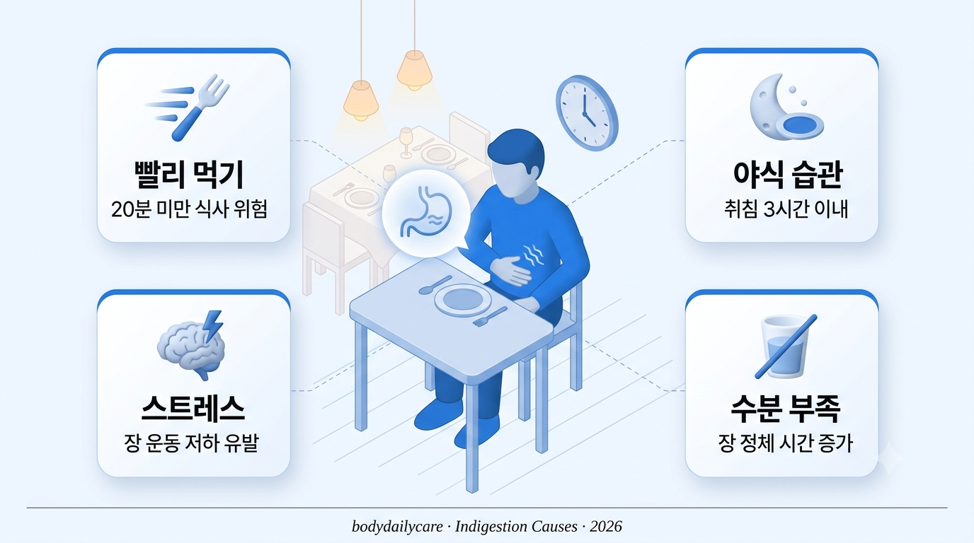 소화불량 원인 - 빨리 먹기·야식·스트레스 5가지 습관 인포그래픽