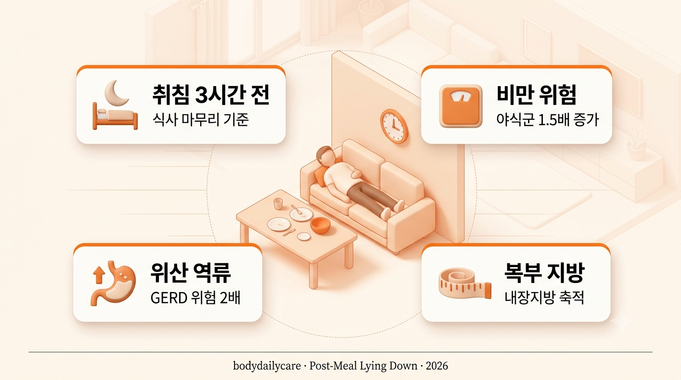 식사 후 소파에 누운 사람과 취침 3시간 전 원칙 - 식사 후 바로 눕기 다이어트