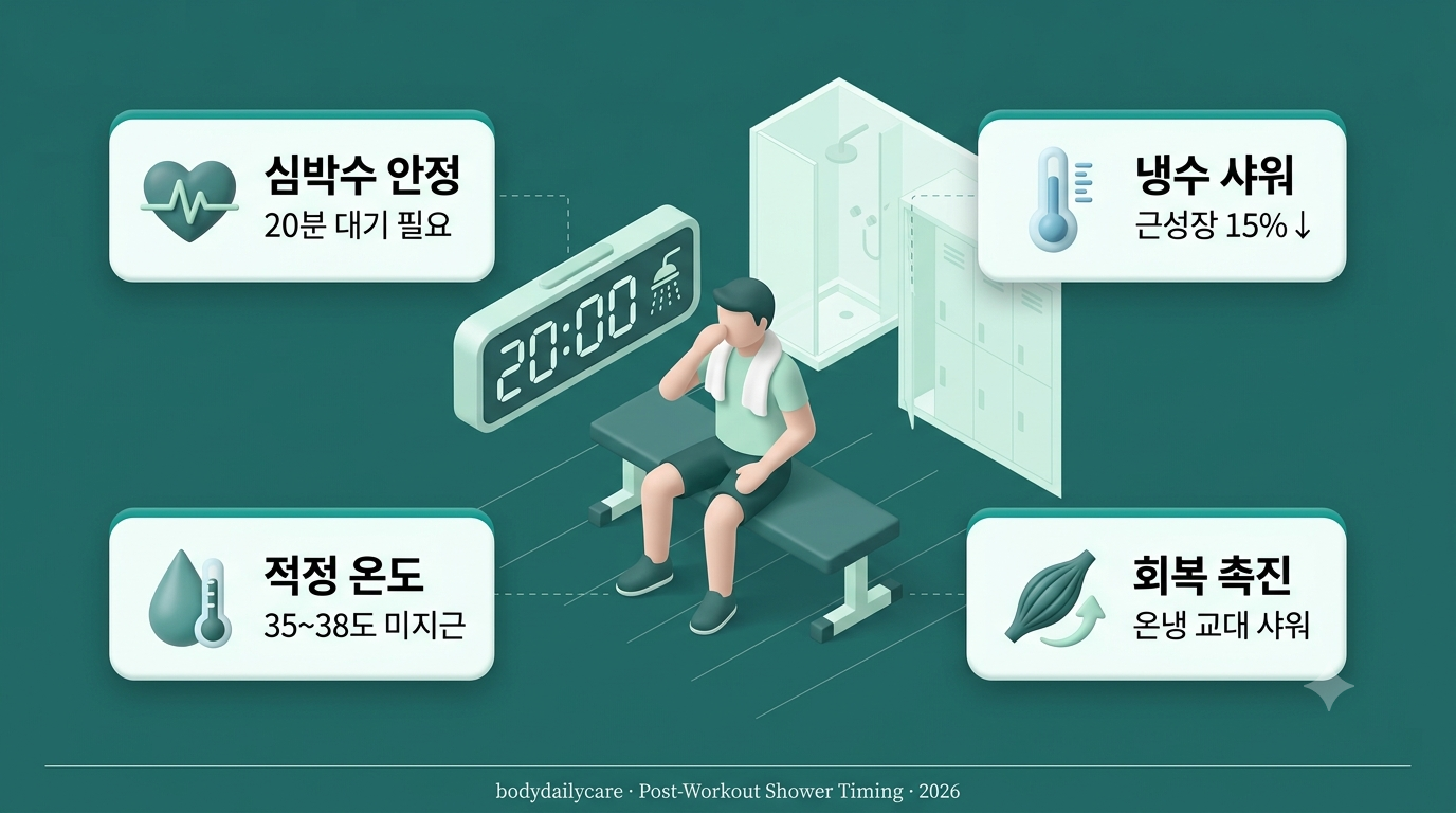 운동 후 샤워 타이밍 - 20분 대기 필요, 냉수 샤워 근성장 15% 저해, 미지근한 물부터 냉수 마무리 순서