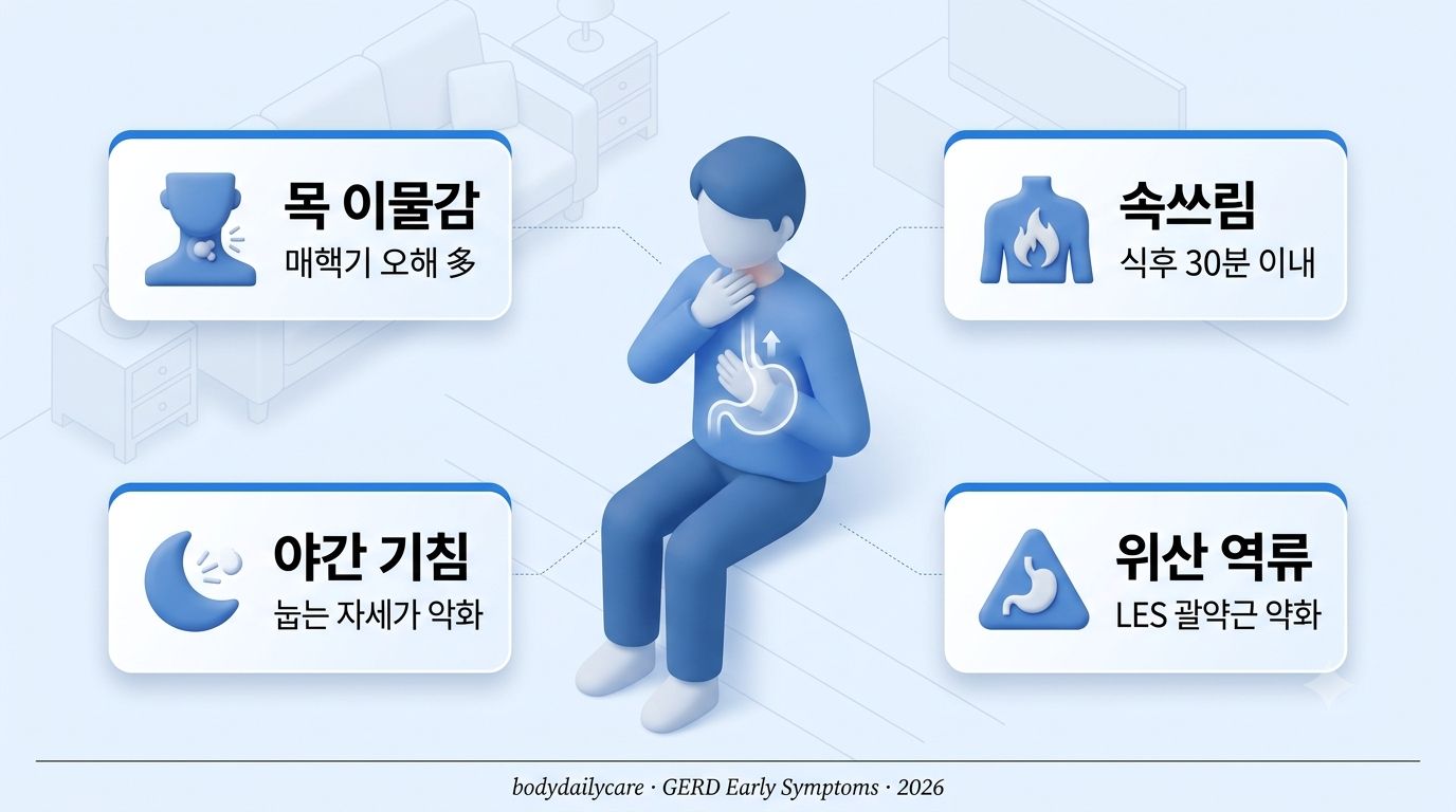 역류성 식도염 초기증상 - 목 이물감과 LES 괄약근 약화 인포그래픽